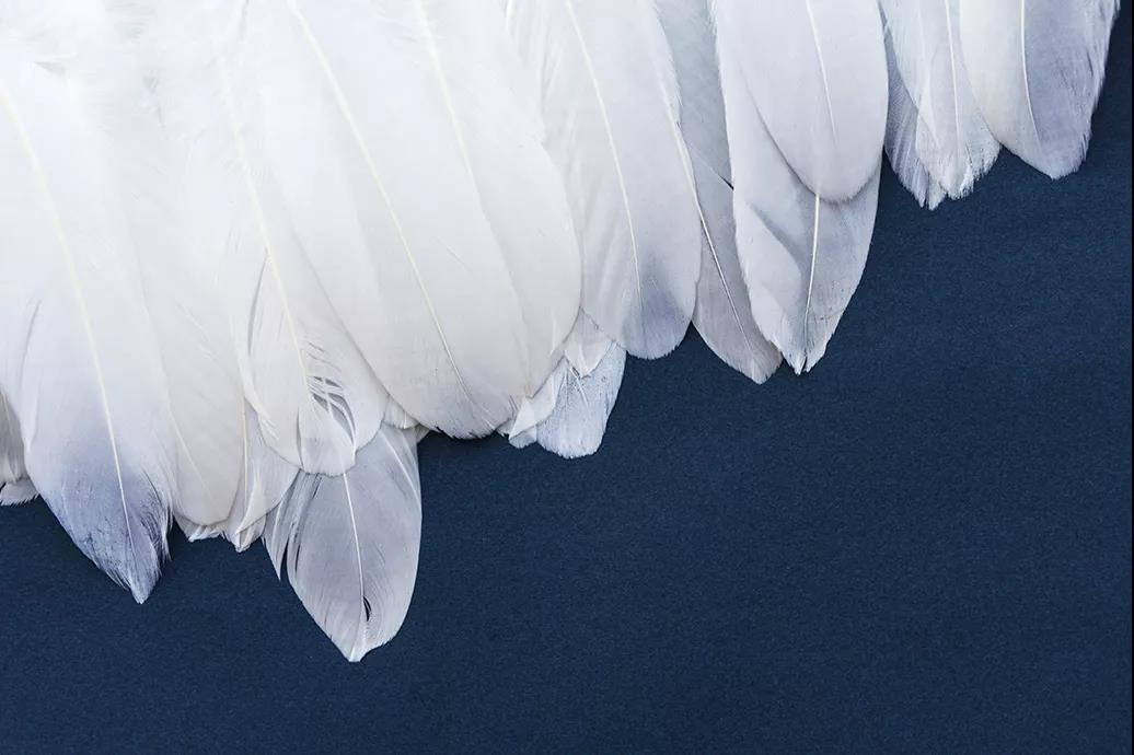 ƷZq˜ʳ_쿴Iı_˛]