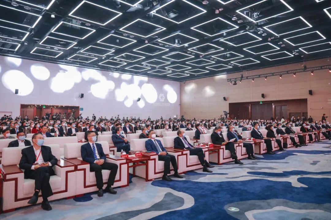 ͨɾȫrֵ--2022粼̴ʢ_Ļ