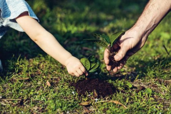 cpMҼҾmz™ƷwS