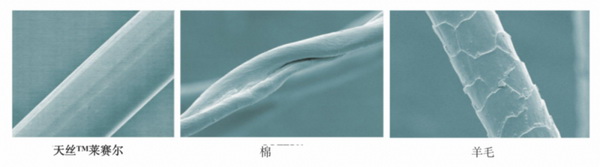 cpMҼҾmz™ƷwS