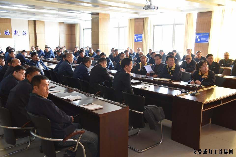 DSC_1719.JPG 威力工具集團(tuán)“引智強(qiáng)企”企業(yè)診斷大會正式啟動(圖2)